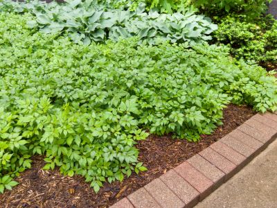 Brick Hardscape Construction in Fairfield County, CT